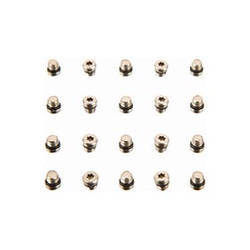 SRAM Lever Bleed Screw, 20pcs