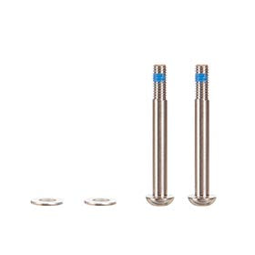 SRAM Flat Mount Bolts, Ti 42mm, 2pcs