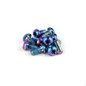 SRAM Titanium Rotor Bolts, Rainbow, 12pcs