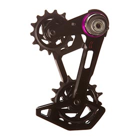 SRAM X0 T-Type Cage