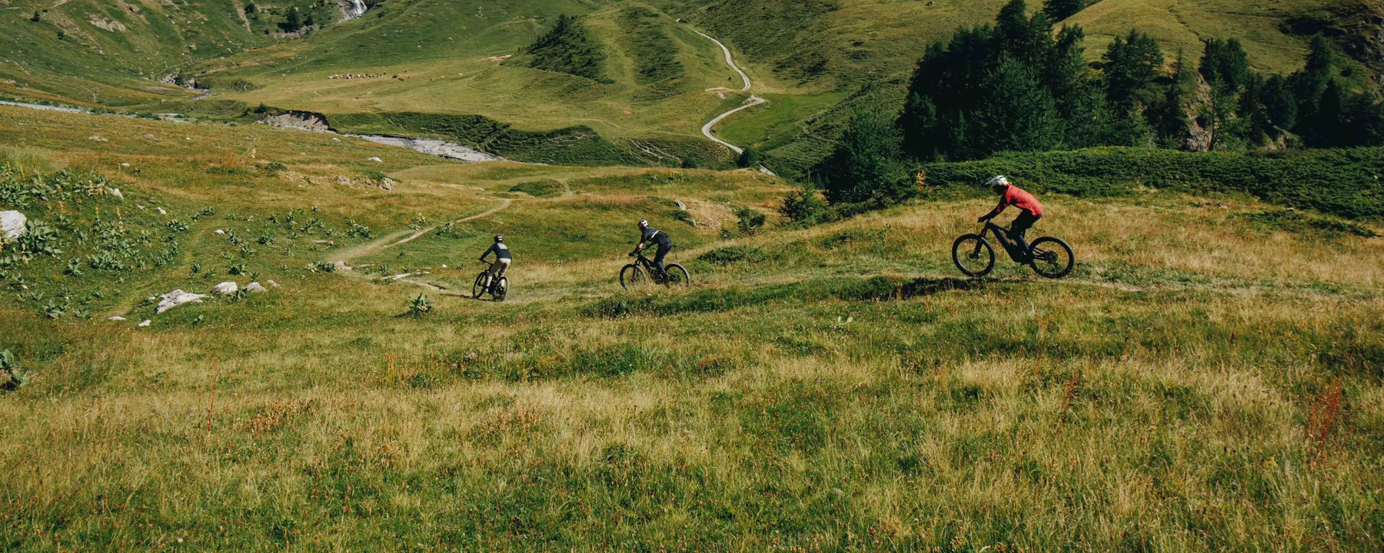 Specialized