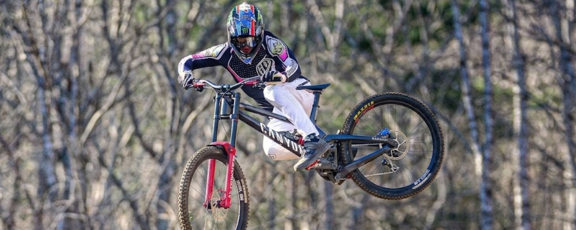 Troy Lee Designs