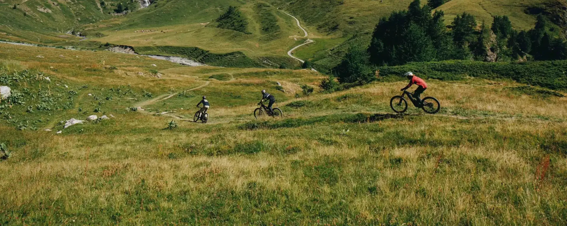 Specialized