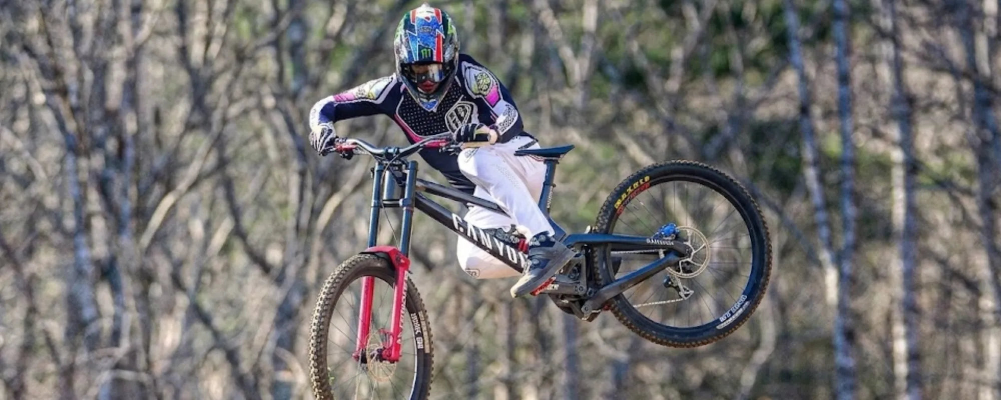 Troy Lee Designs
